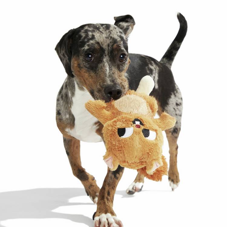 Bark Pearl squirrel dog chew toy with squeaker, dual-layer fabric (British brand)