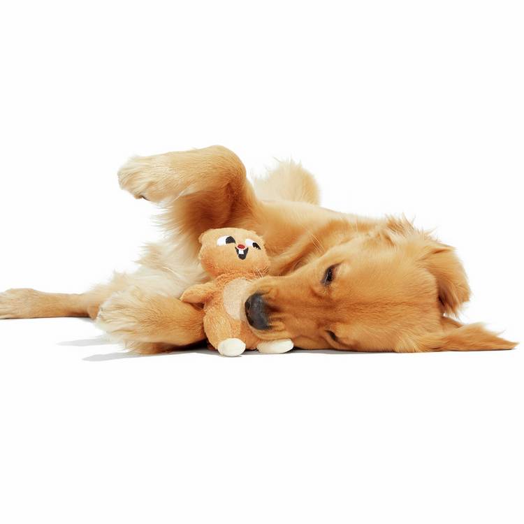 Bark Pearl squirrel dog chew toy with squeaker, dual-layer fabric (British brand)