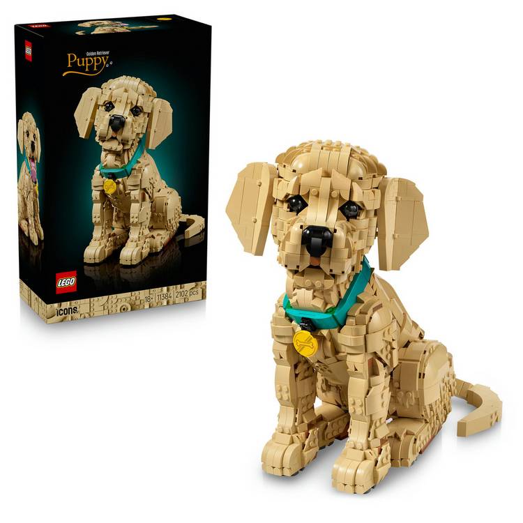 LEGO Icons Golden Retriever Puppy building set, imported from the UK