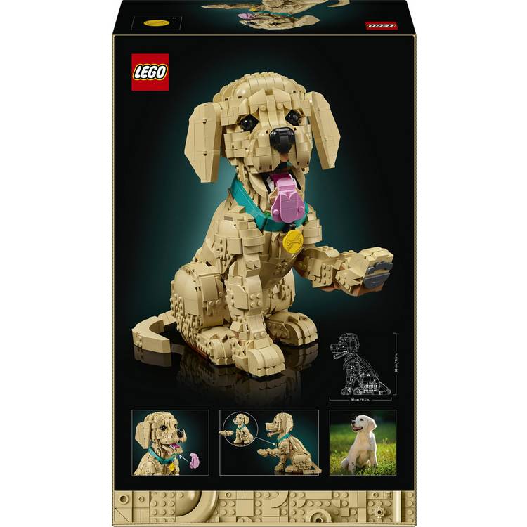 LEGO Icons Golden Retriever Puppy building set, imported from the UK