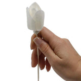 Sola wood tulip diffuser on reed, imported from the UK