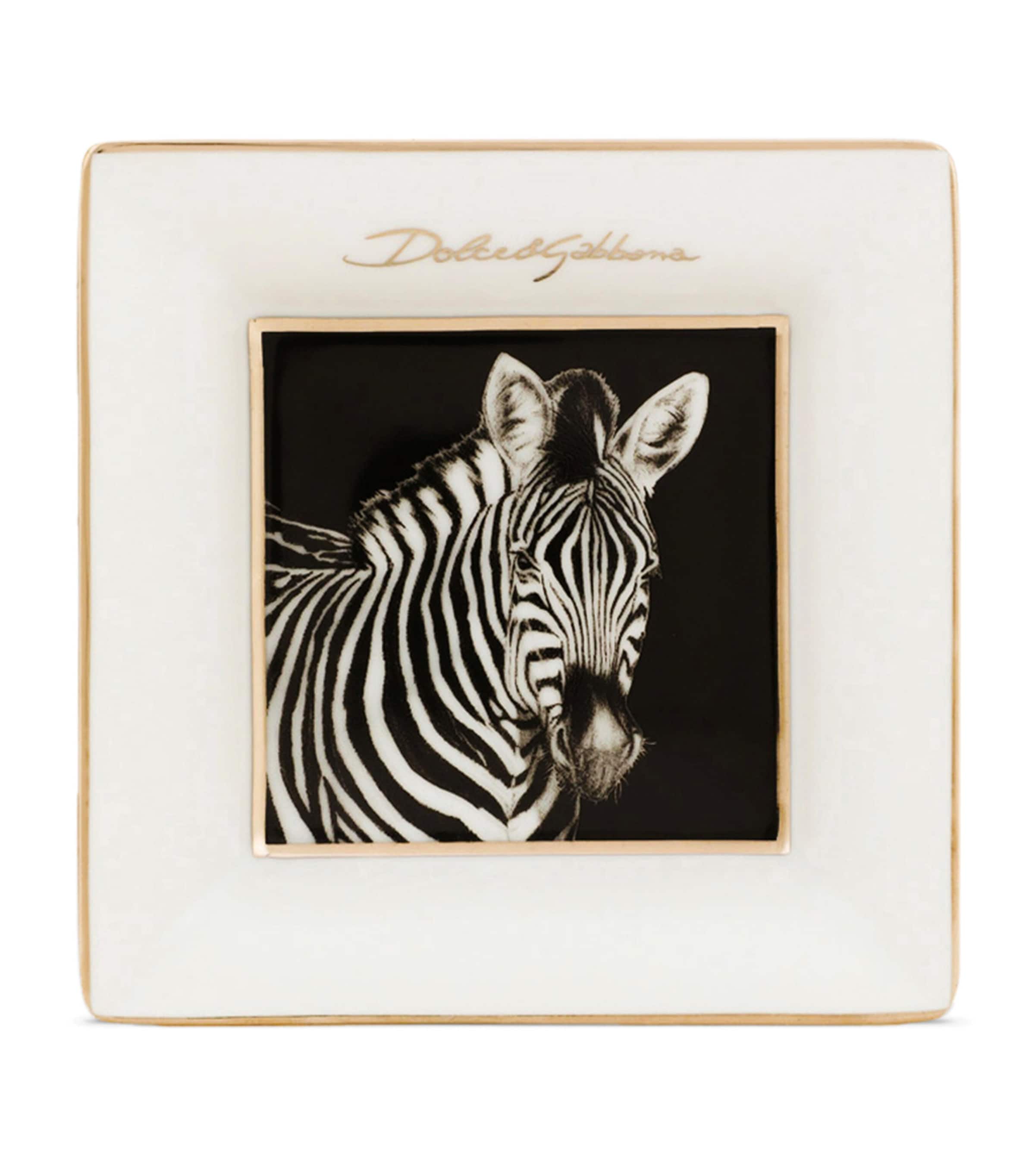 Dolce&Gabbana Casa zebra decorative square plates 10cm - British product