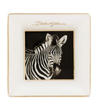 Dolce&Gabbana Casa zebra decorative square plates 10cm - British product