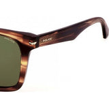 Police brown SPLN35M acetate sunglasses, imported from the UK