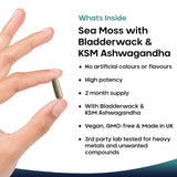 New Leaf sea moss capsules 120 count - British product