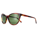 Ralph Lauren RL8186 brown women sunglasses (British brand)