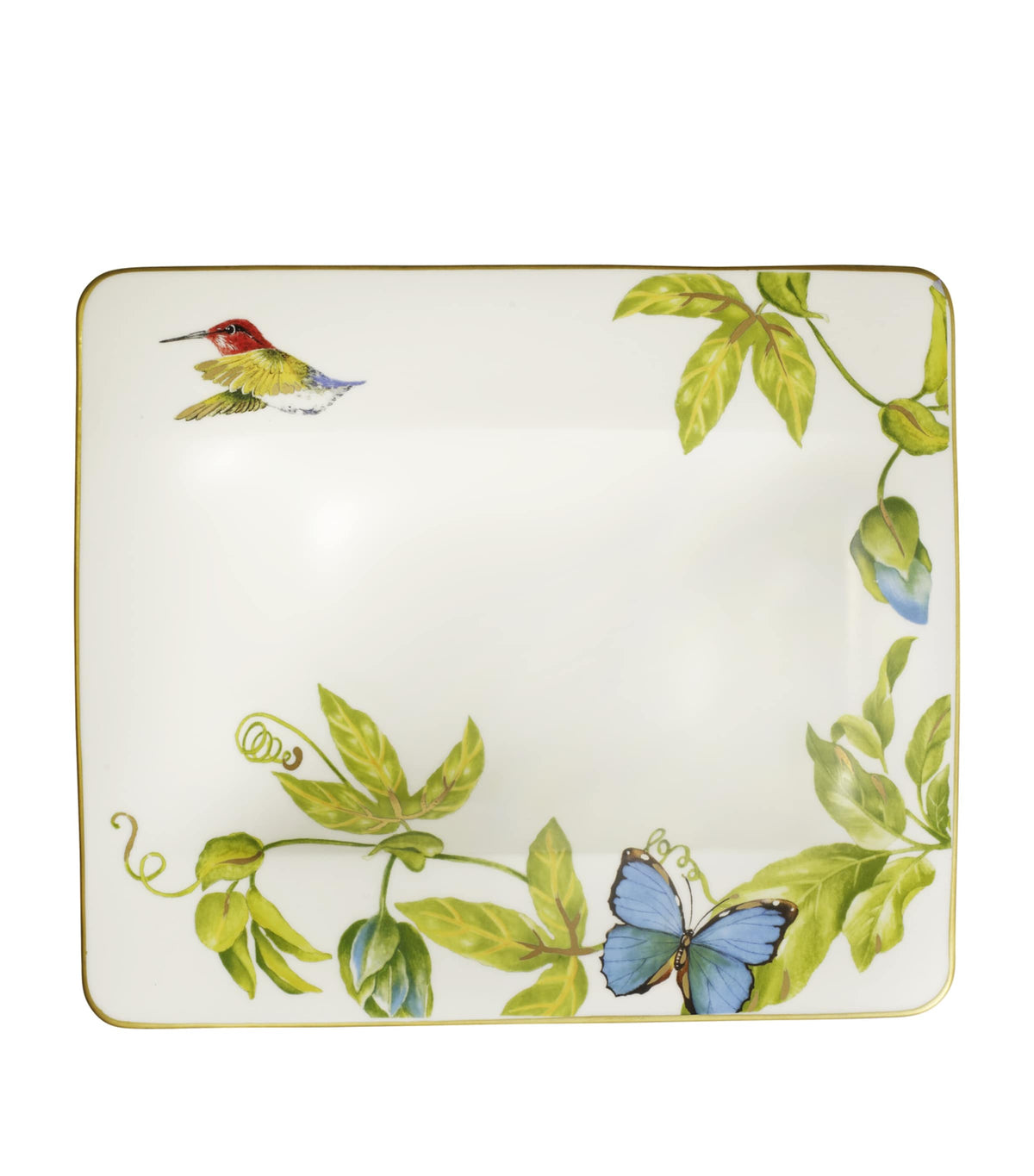 Villeroy & Boch Amazonia Deep Plate 24cm - British product