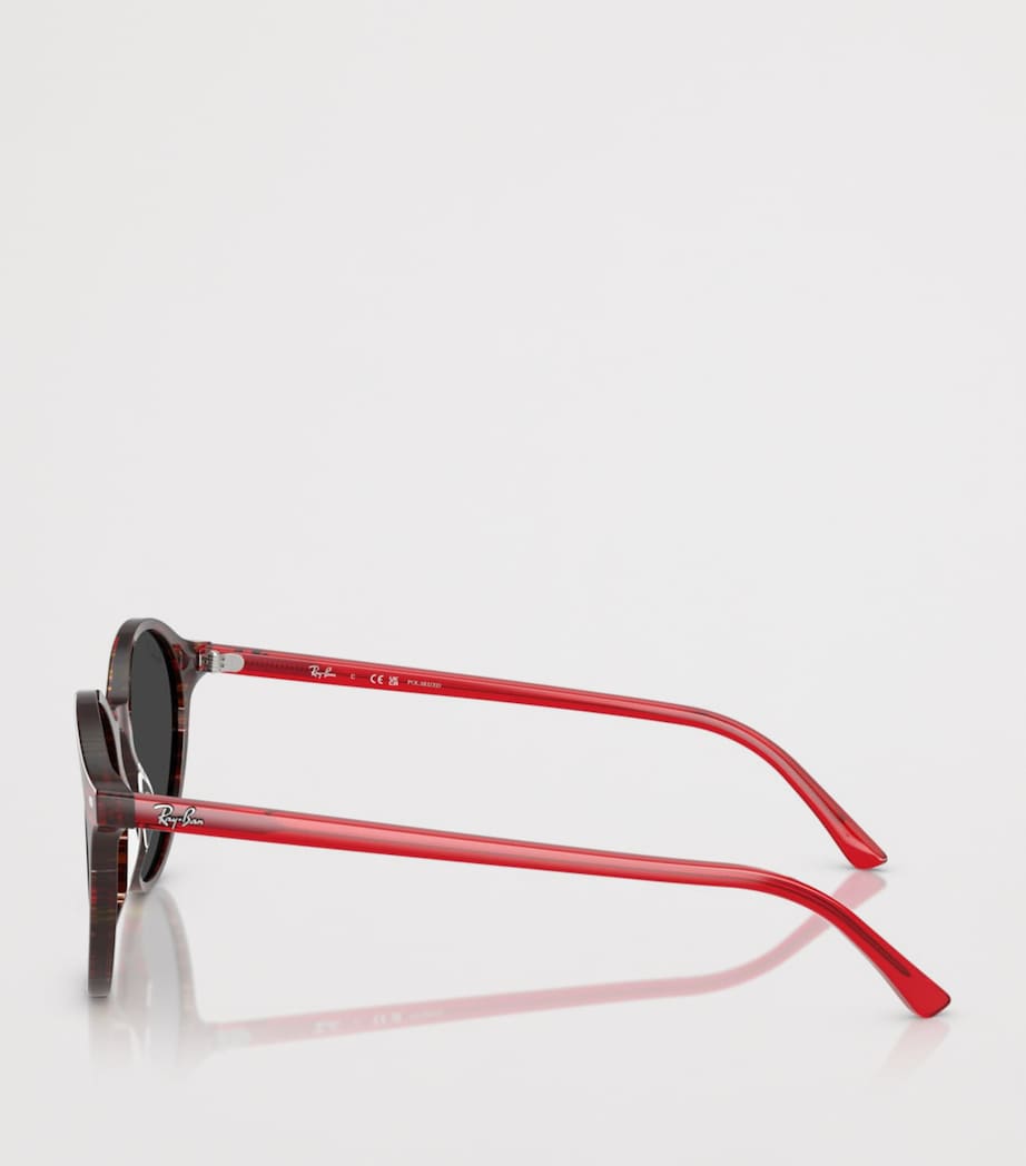 Ray-Ban RB2230 circular acetate sunglasses (British brand)