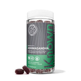 Known Nutrition Ashwagandha Gummies sugar free apple flavour (British brand)