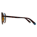 Polaroid PLD 6225/S brown polarised unisex sunglasses, UK version