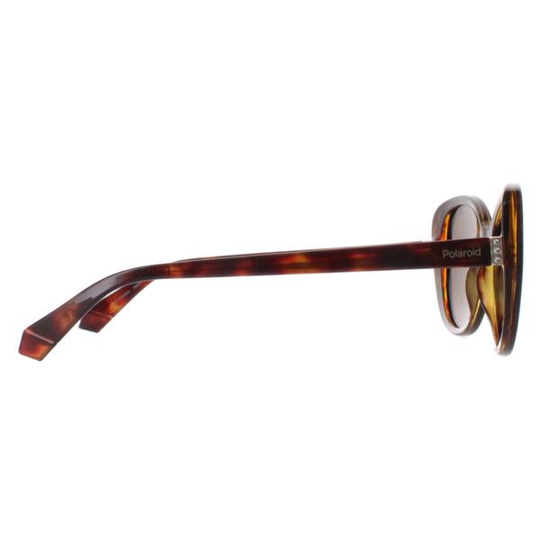 Polaroid Havana Bronze polarized women's sunglasses, UK version
