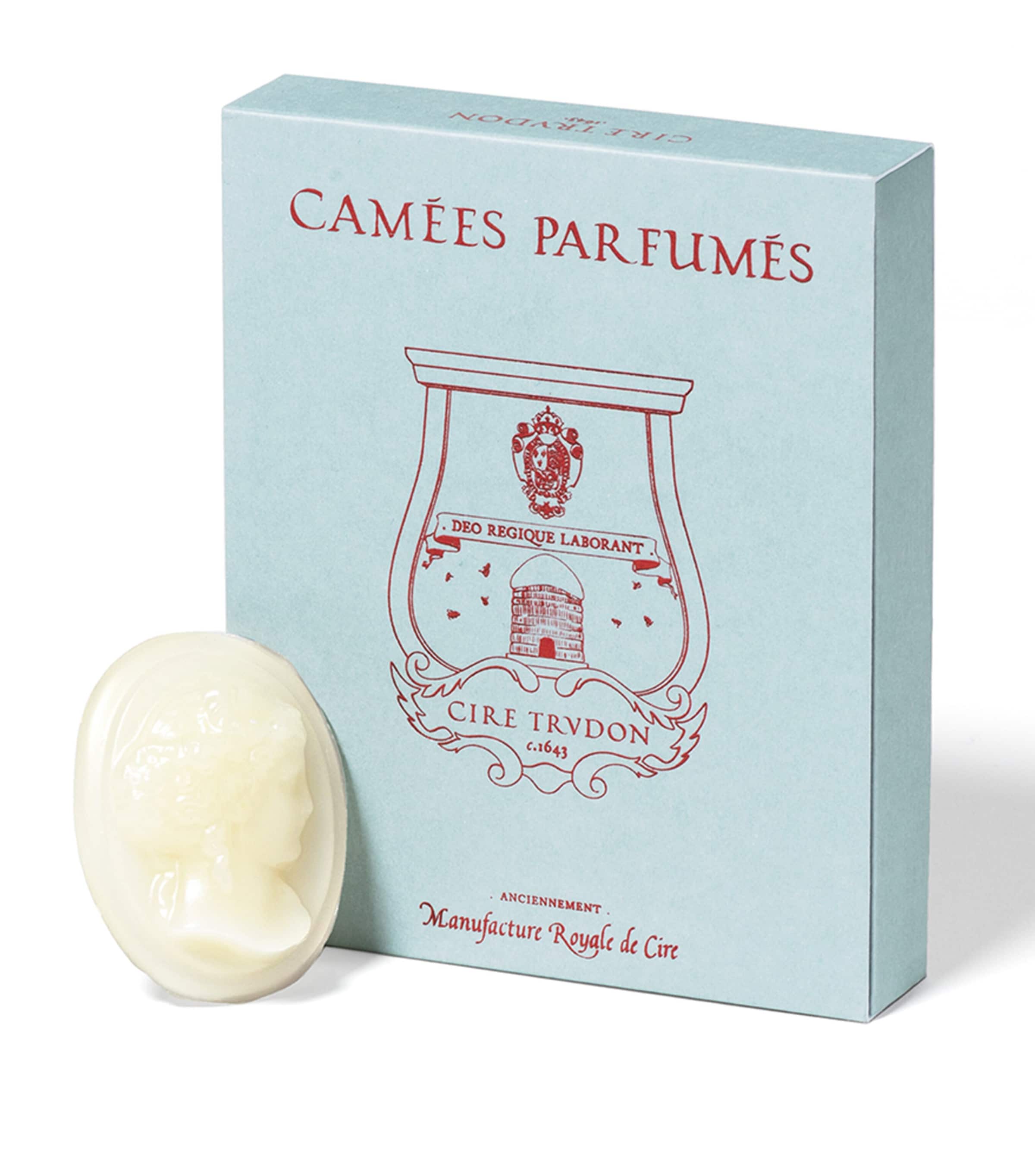 Trudon La Promenuse Ernesto glass diffuser (British brand)