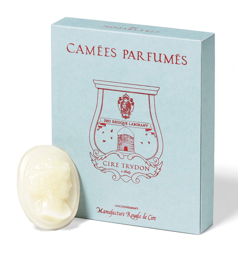 Trudon La Promenuse Ernesto glass diffuser (British brand)