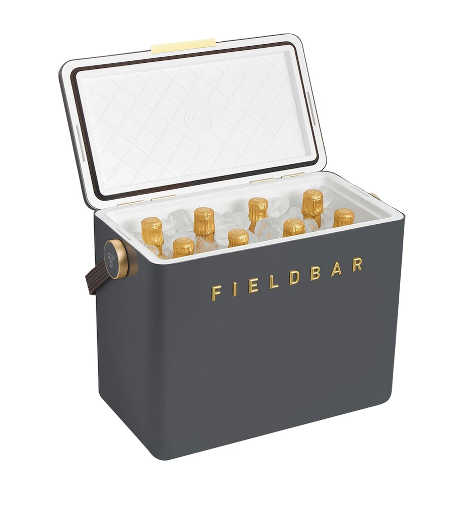 Fieldbar gin trunk cooler box - British product