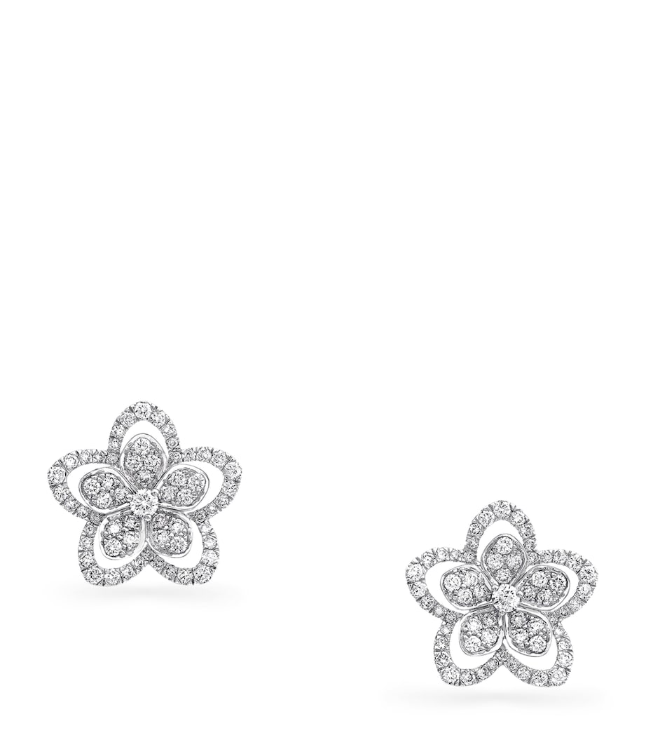 Graff Wild Flower diamond stud earrings - British product