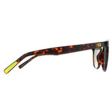 Guess GU00023 round sunglasses Dark Havana Green, UK version