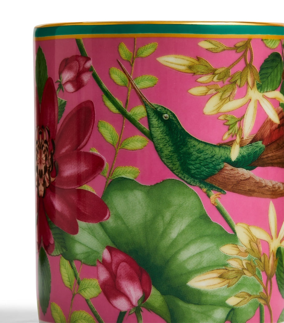Wedgwood Wonderlust small mug set, imported from the UK