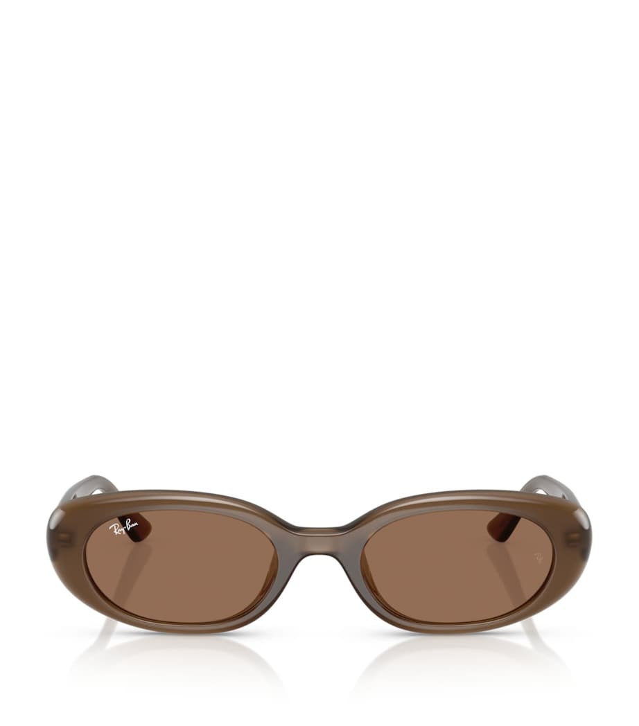 Ray-Ban Injected Oval sunglasses - British product