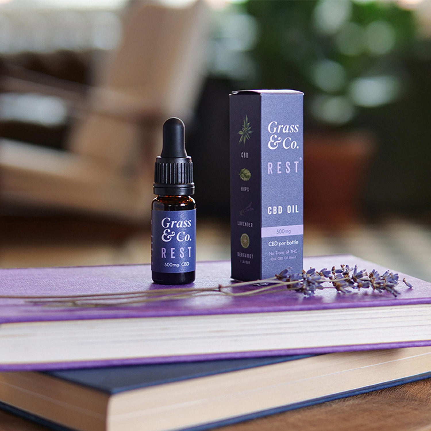 Grass & Co. REST CBD Oil 500mg 10ml, imported from the UK