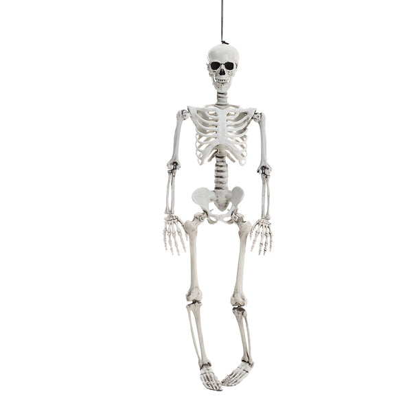 Livingandhome full body skeleton prop 90 cm, imported from the UK