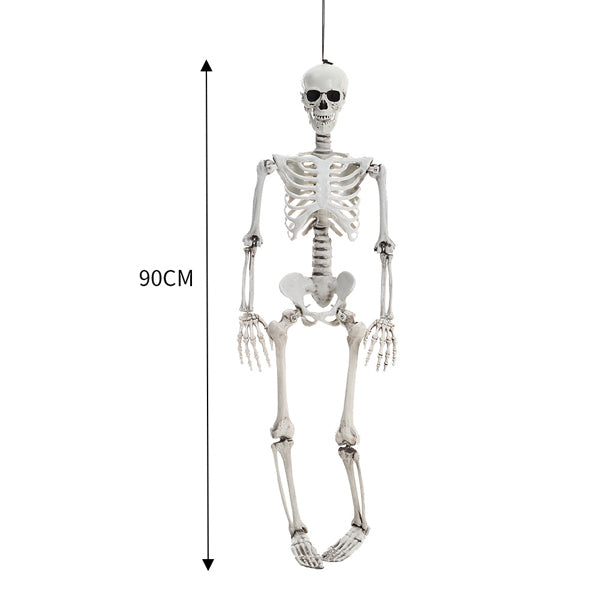 Livingandhome full body skeleton prop 90 cm, imported from the UK