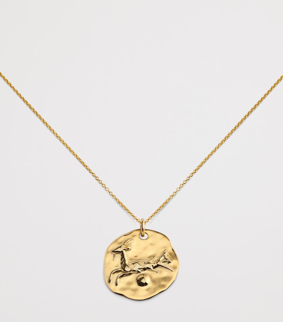 Monica Vinader gold vermeil Capricorn pendant necklace (British brand)