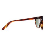 Ralph Lauren RL8186 brown women sunglasses (British brand)