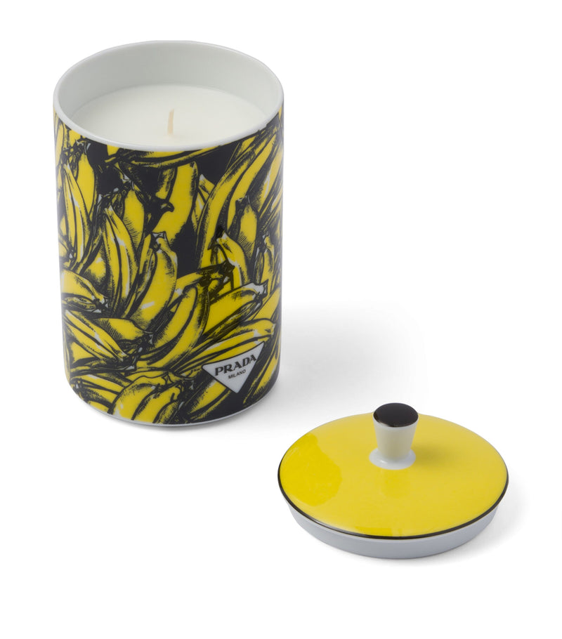Prada Porcelain Seringàt Candle Jasmine Magnolia 250g, imported from the UK