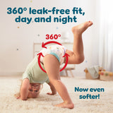Pampers Baby-Dry nappy pants size 5, 33 nappies, imported from the UK