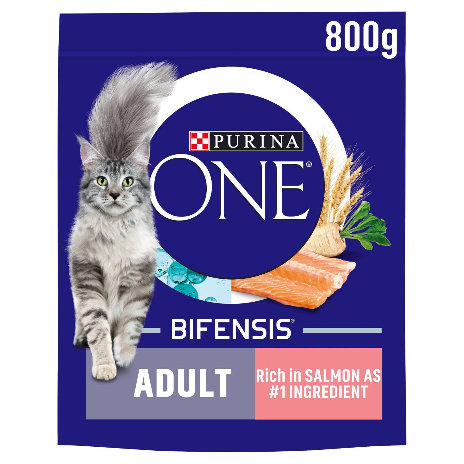 Purina ONE Salmon dry cat food 800g, UK version