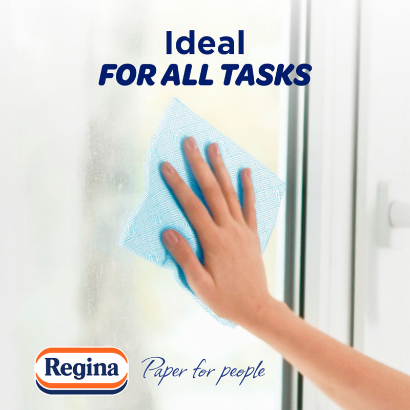 Regina Blitz household kitchen towel 3 roll, imported from the UK