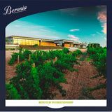 Beronia Rueda Verdejo white wine 75cl - British product
