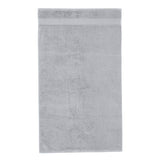 Catherine Lansfield Anti Bacterial Hand Towel - Silver