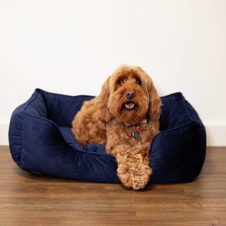 Rosewood velvet pet bed navy large, UK version