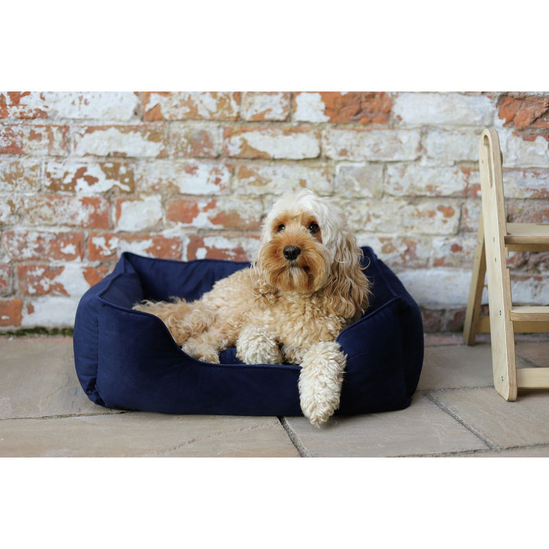 Rosewood velvet pet bed navy large, UK version
