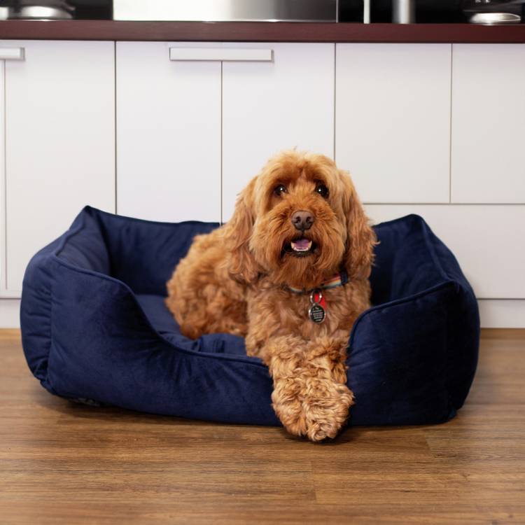 Rosewood velvet pet bed navy large, UK version