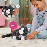 Baby Born Cookie interactive toy cat with soft fur - British product