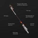 VonHaus cordless pole chainsaw 40V 20cm, imported from the UK