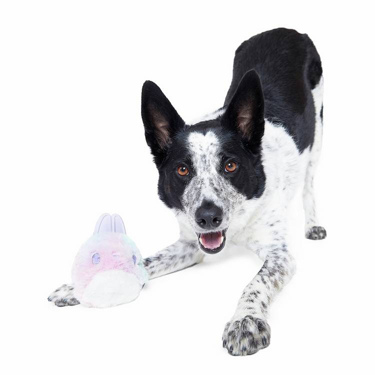 Bark Hippie Hopper dog chew toy - British product