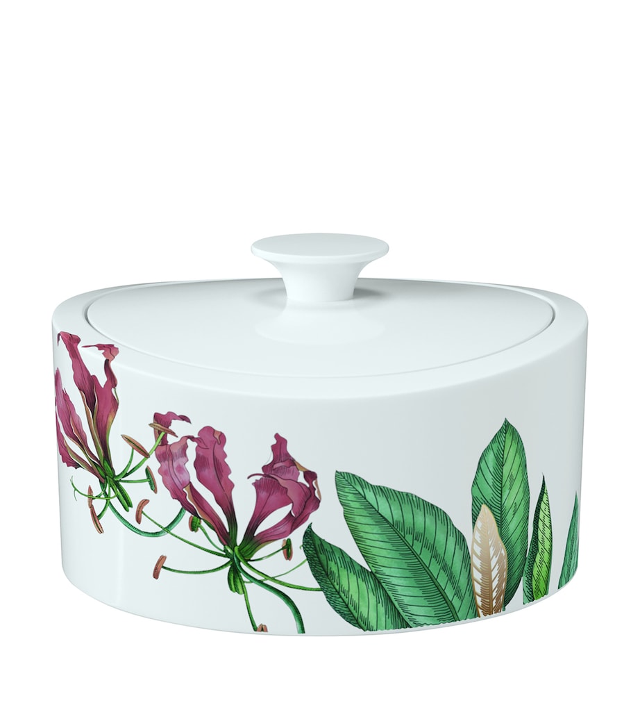Villeroy & Boch Avarua gift box (British brand)