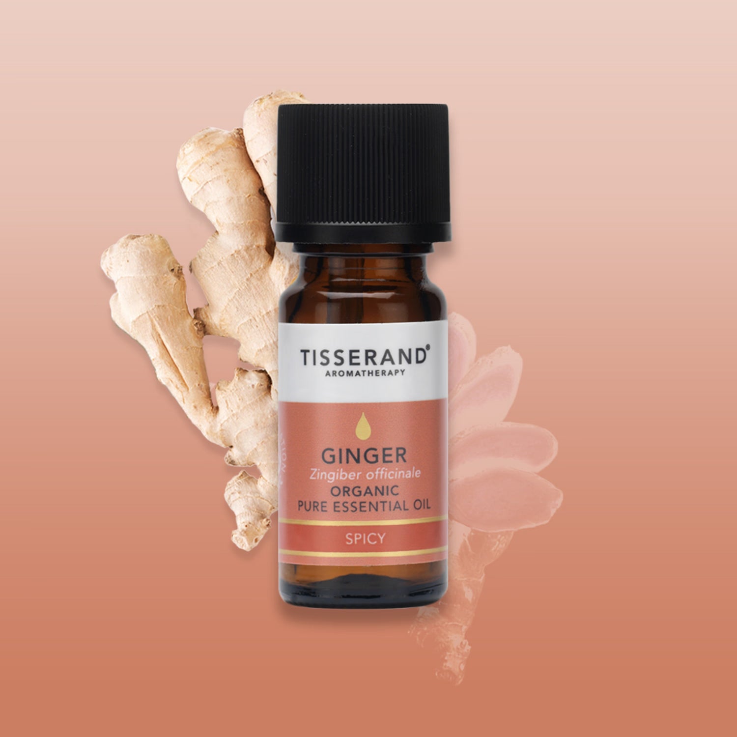 Tisserand ginger organic essential oil 9ml (British brand)