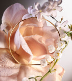 Lancôme Absolue 6AM Rose eau de parfum 100ml - British product