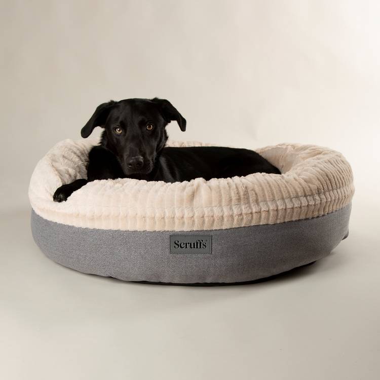Scruffs Ellen donut dog bed extra large, UK version