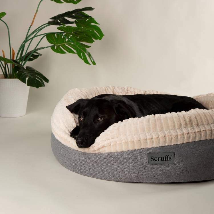 Scruffs Ellen donut dog bed extra large, UK version