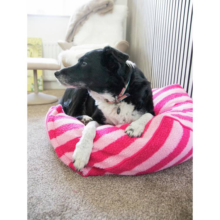 Rosewood Pet pink stripe sherpa pet bed medium, UK version