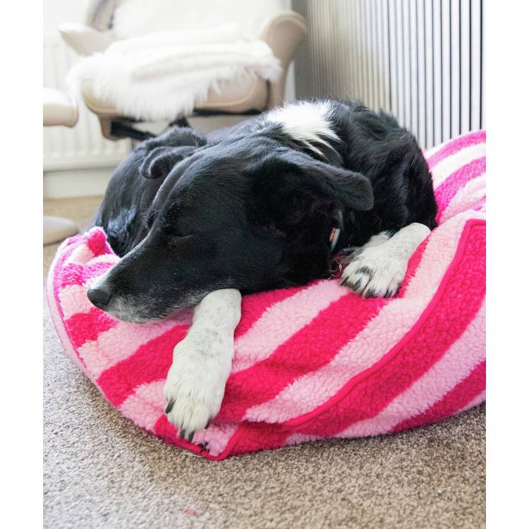 Rosewood Pet pink stripe sherpa pet bed medium, UK version