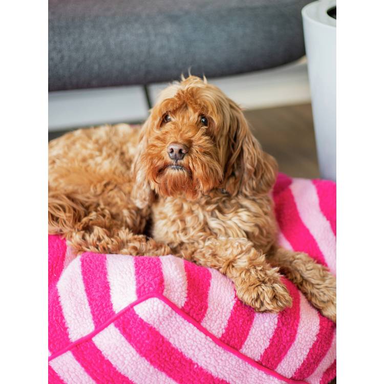 Rosewood Pet pink stripe sherpa pet bed medium, UK version