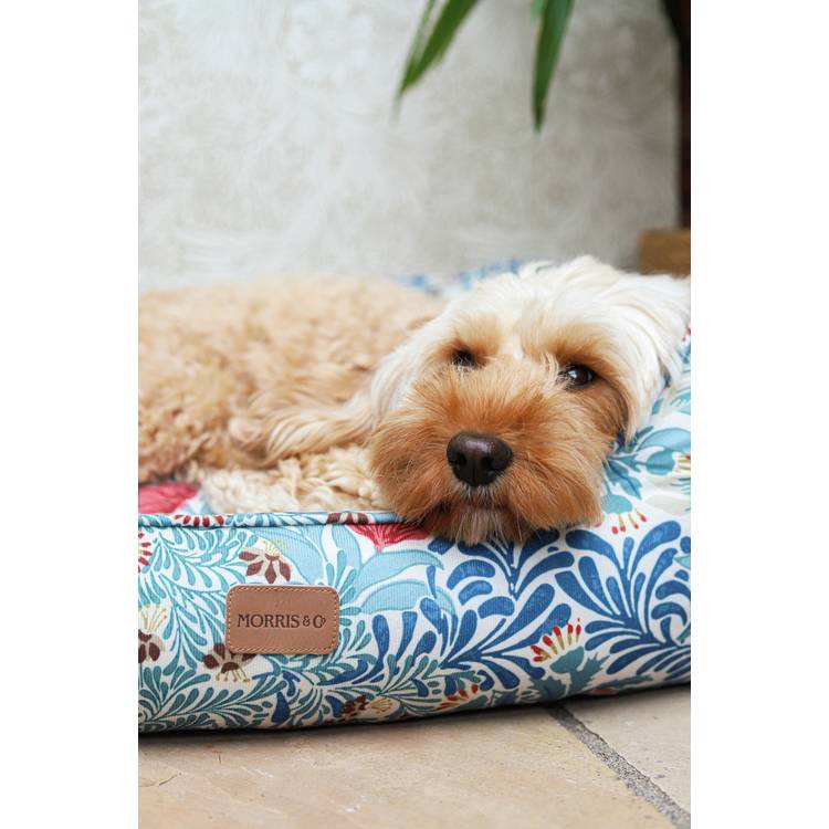 Morris & Co. Bower Print Square Pet Bed Small, imported from the UK