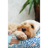 Morris & Co. Bower Print Square Pet Bed Small, imported from the UK