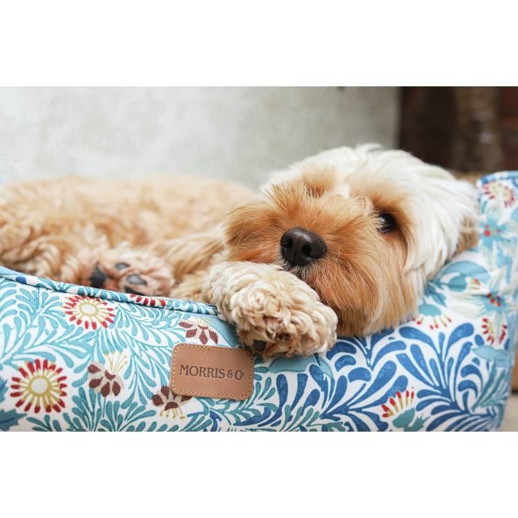 Morris & Co. Bower Print Square Pet Bed Small, imported from the UK